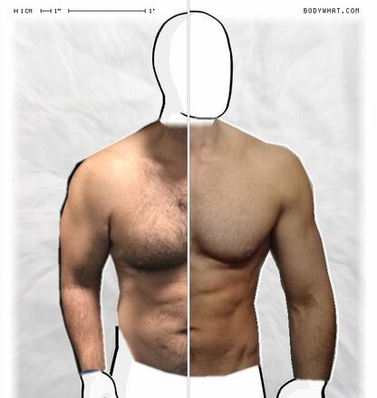 Torso Comparison