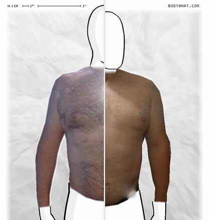 Torso Comparison