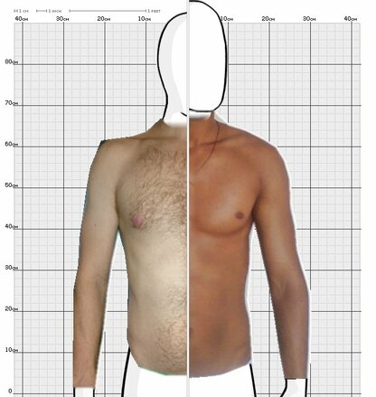 Torso Comparison