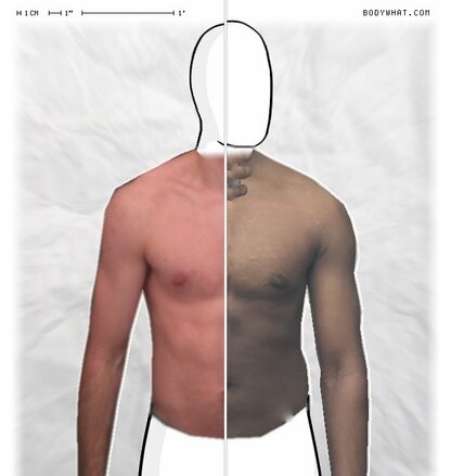 Torso Comparison