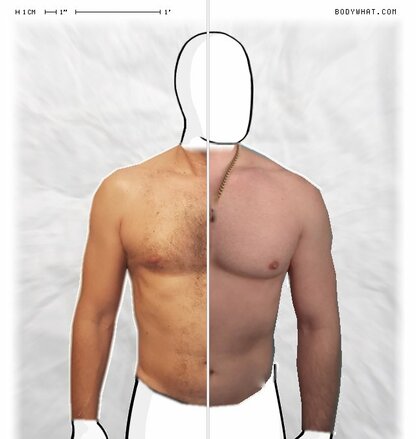 Torso Comparison