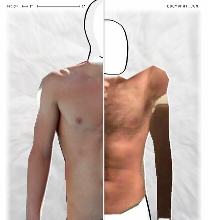 Torso Comparison