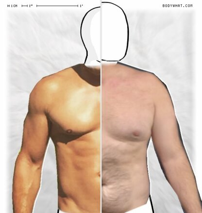 Torso Comparison