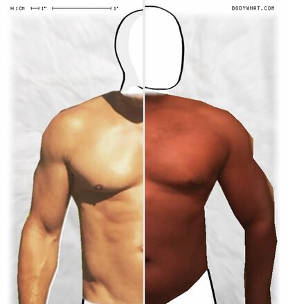 Torso Comparison