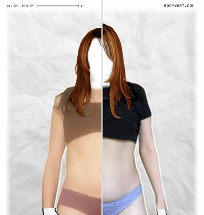 Torso Comparison