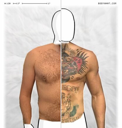 Torso Comparison