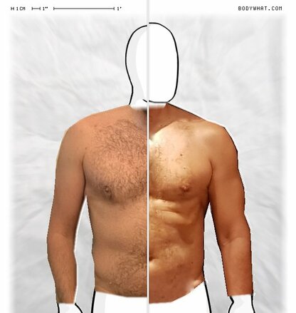 Torso Comparison