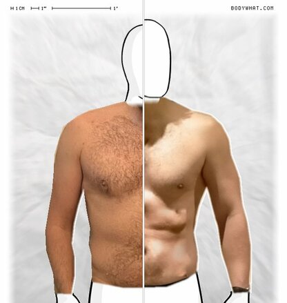 Torso Comparison