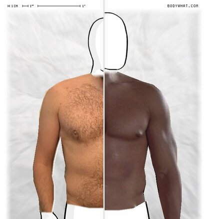 Torso Comparison