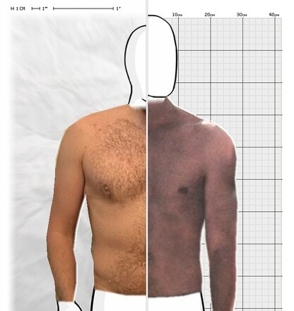 Torso Comparison