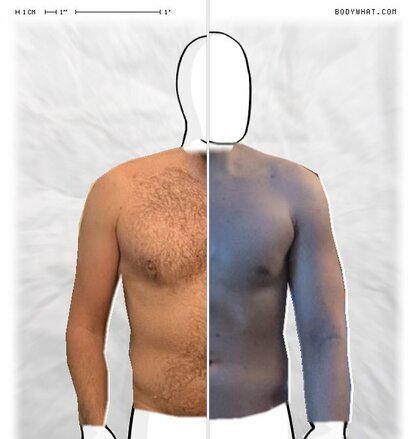Torso Comparison