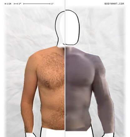 Torso Comparison