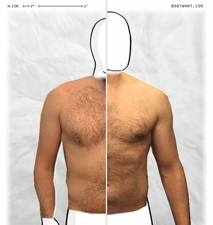 Torso Comparison