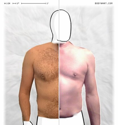 Torso Comparison