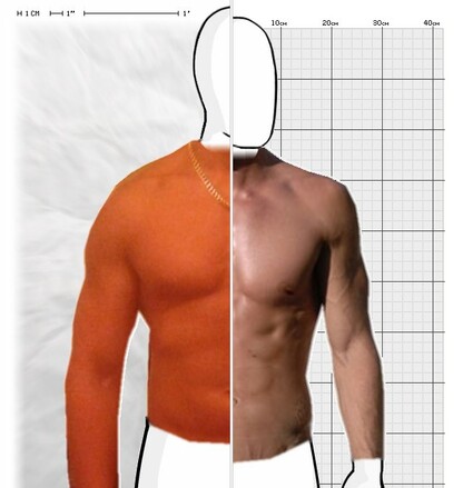 Torso Comparison