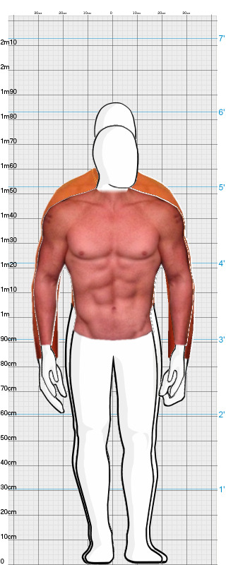 Full Size Comparison