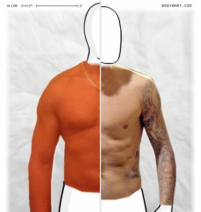 Torso Comparison
