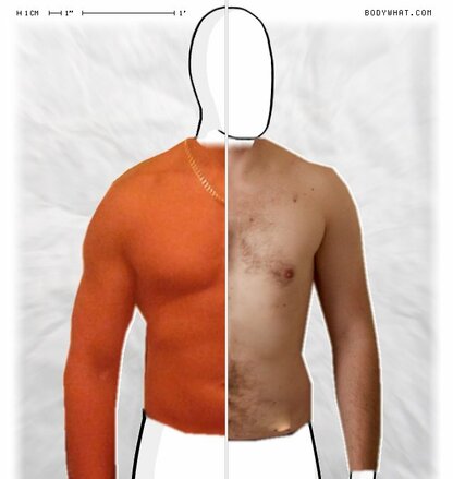 Torso Comparison