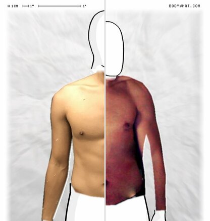 Torso Comparison