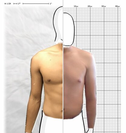 Torso Comparison