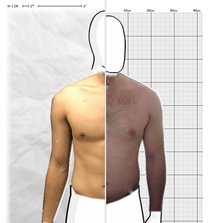 Torso Comparison