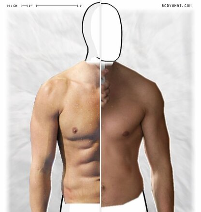 Torso Comparison
