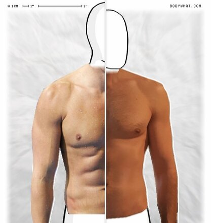 Torso Comparison