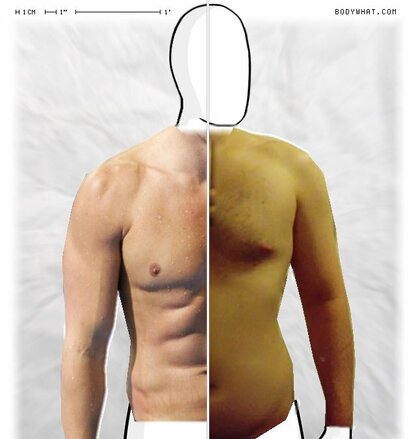 Torso Comparison