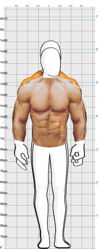 Full Size Comparison