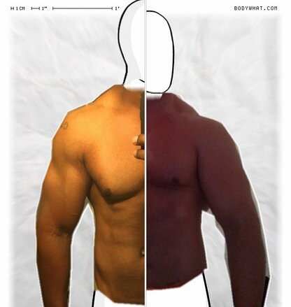 Torso Comparison