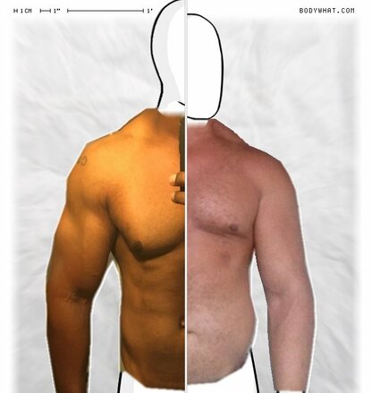 Torso Comparison
