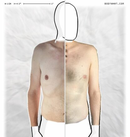 Torso Comparison