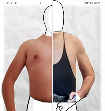 Torso Comparison