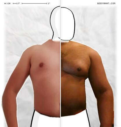 Torso Comparison