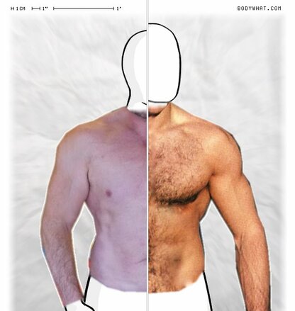 Torso Comparison