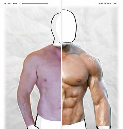 Torso Comparison