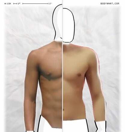 Torso Comparison