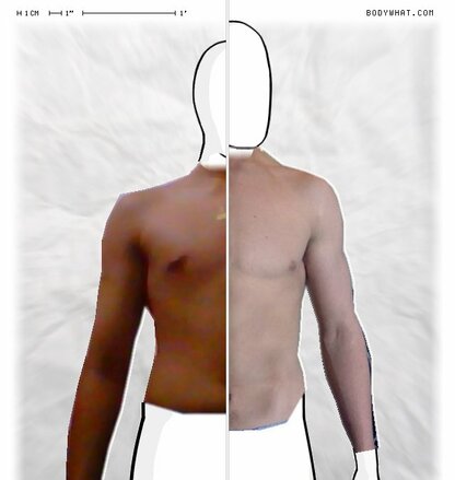 Torso Comparison