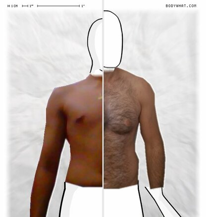 Torso Comparison