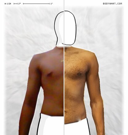 Torso Comparison