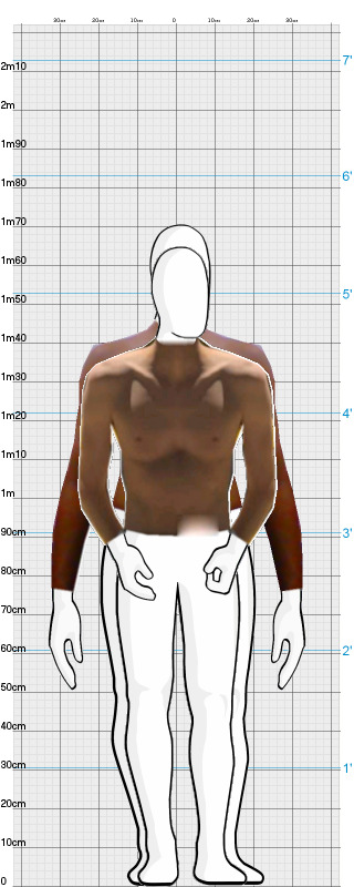 Full Size Comparison