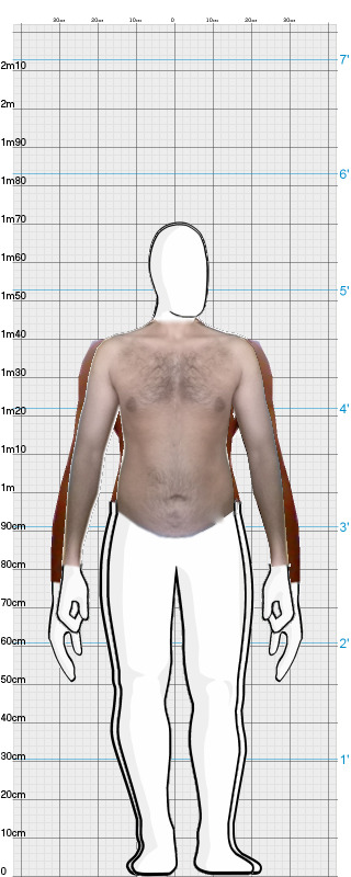 Full Size Comparison