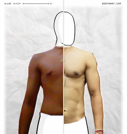 Torso Comparison
