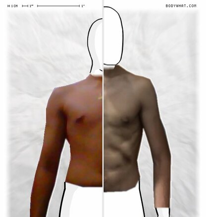 Torso Comparison