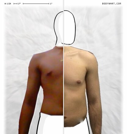 Torso Comparison
