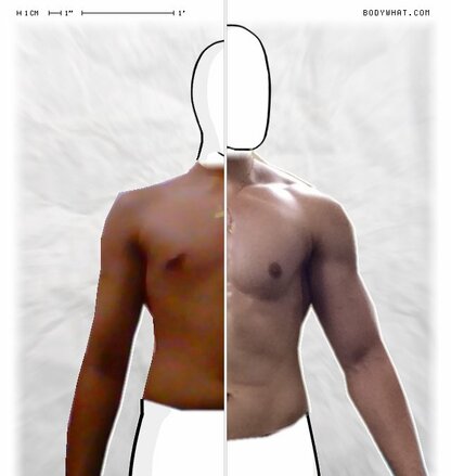 Torso Comparison