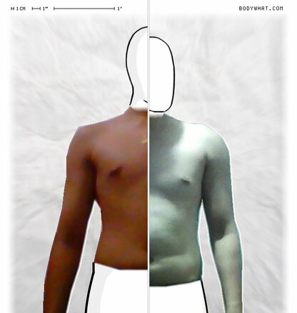 Torso Comparison