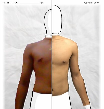 Torso Comparison