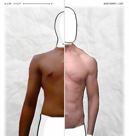 Torso Comparison