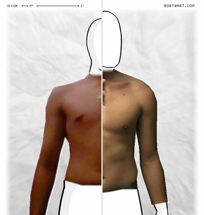 Torso Comparison